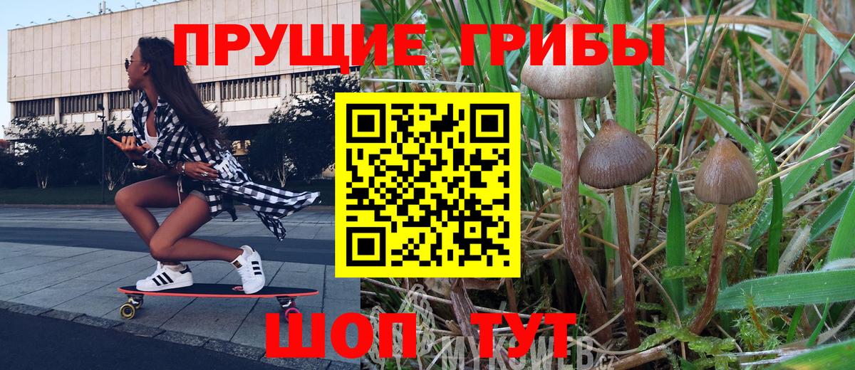 Коммунар  Псилоцибиновые грибы Cubensis  купить  цена  Галлюциногенные грибы Psilocybe  Вход с VPN 