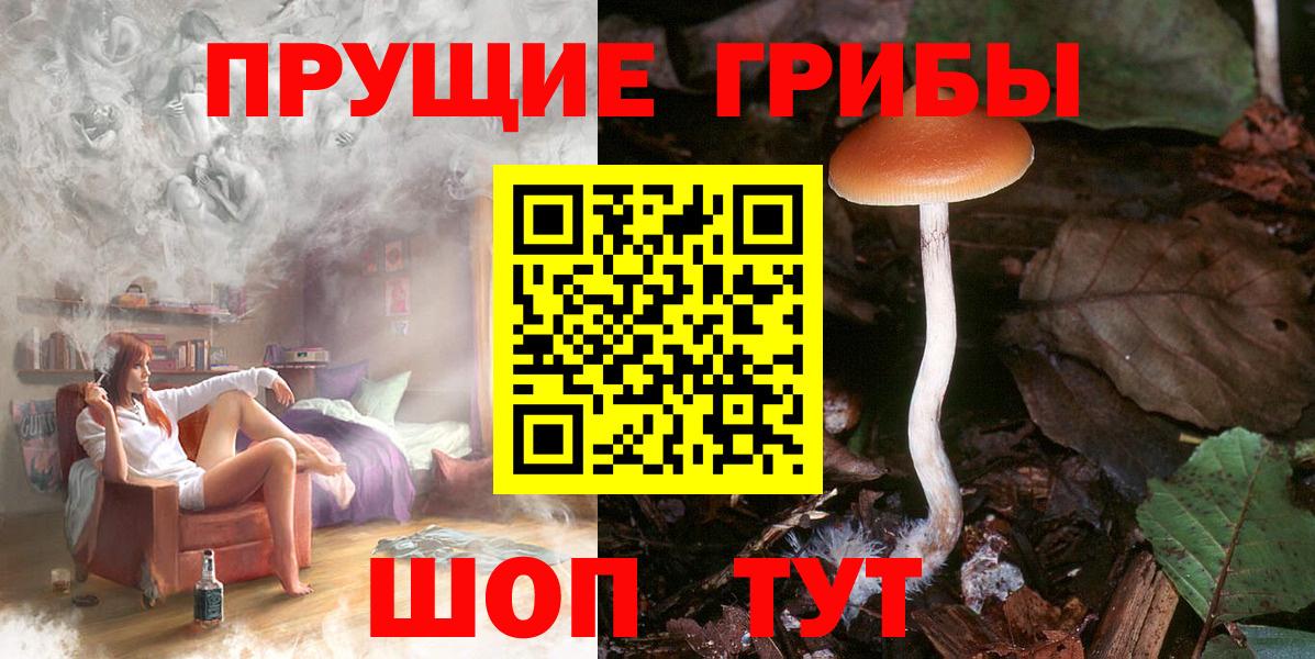 Псилоцибиновые грибы Psilocybine cubensis Коммунар
